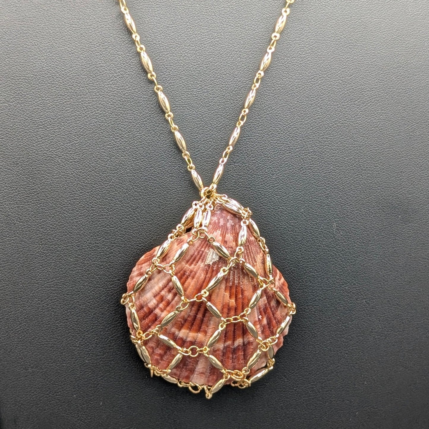 Shellbound: Chain Wrapped Seashell Pendant Necklace